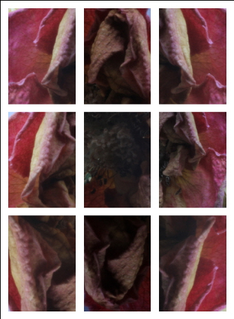 Heidrun Wettengl, Ros-Sie, 2013, Pinhole-Serie, jeweils 15x10 cm